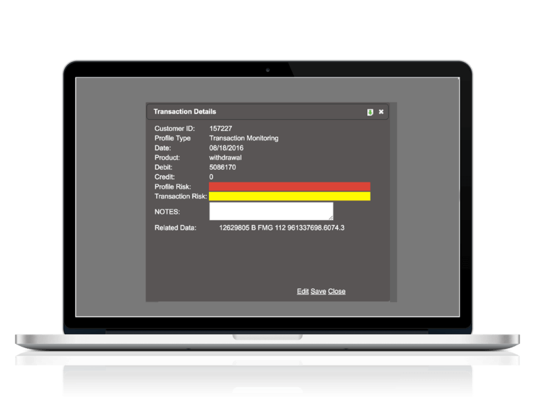 AML Case Management
